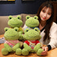 Frog Plushies