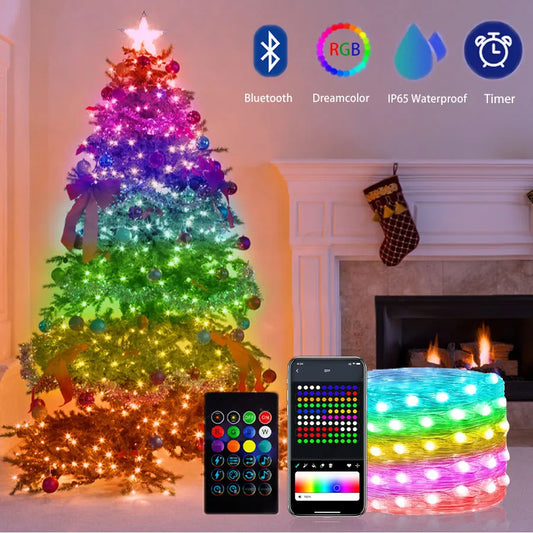 Dreamcolor Fairy Lights LED String Bluetooth